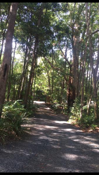 3-1/2 acres 5 minutes to Noosa rainforest creek space