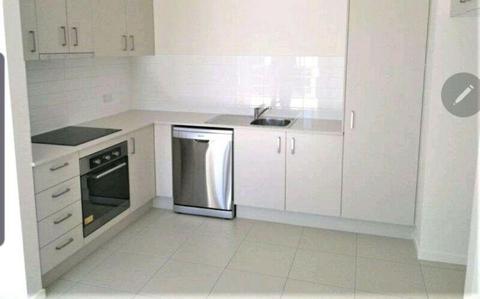 Room for rent zillmere