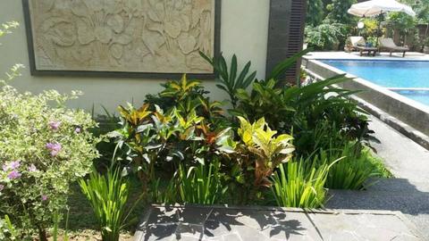 GREAT INVESTMENT POTENTIAL BALI VILLAS $295,000 NEGOTIABLE