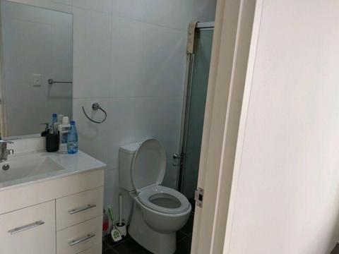 Room for rent in Rydalmere