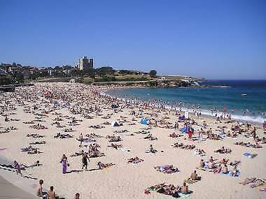 Wanted International UNSW students for Randwick/Coogee Beach
