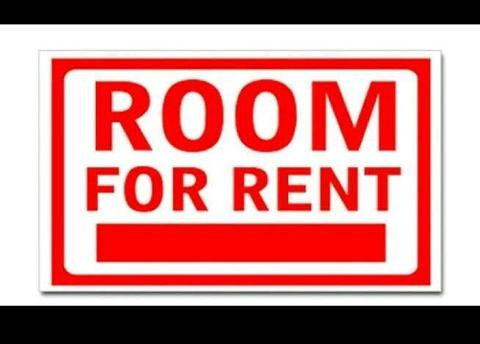 Room to let manly west