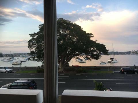 Huge room avail December 18- rose bay