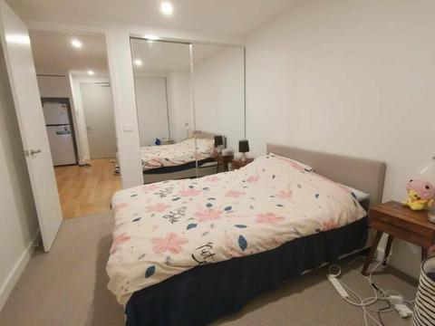 Fully furnished apartment near Flagstaff garden