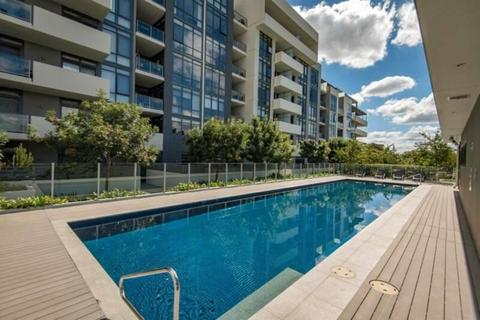 House Share Wanted for Altitude Apartments Belconnen
