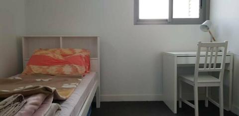 Room for rent in Lane Cove ( Asian only please)