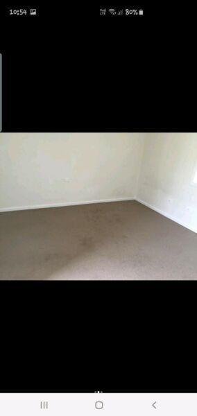 Room for rent in ashfield