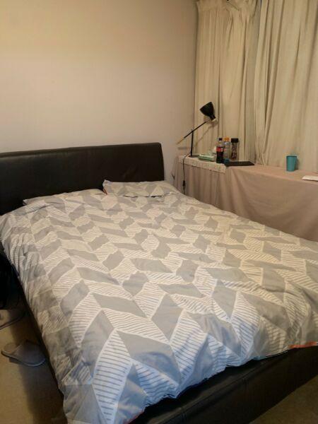 Master bedroom available Couple or 2 females in City Apartment