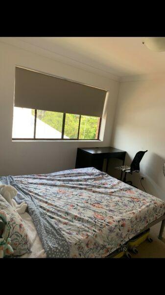 Room to rent, in beautiful Newfarm!
