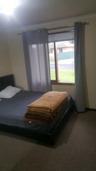Room available for rent in Para Vista