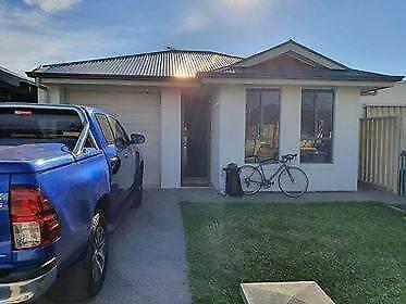 Room for Rent - Woodville South