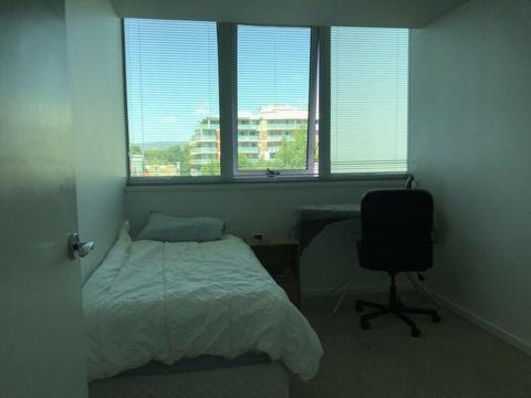 Fully Furnished Single Bedroom for rent