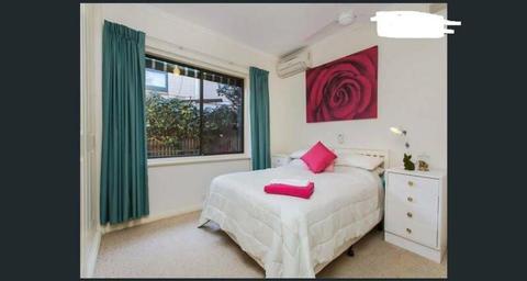 Room in share house, walk to Flinders Uni