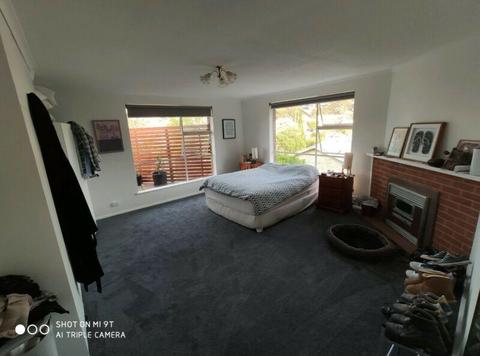 Large room in West moonah $160