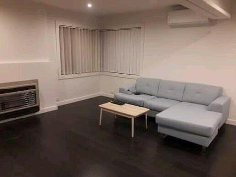 Single room rent for female in hobart