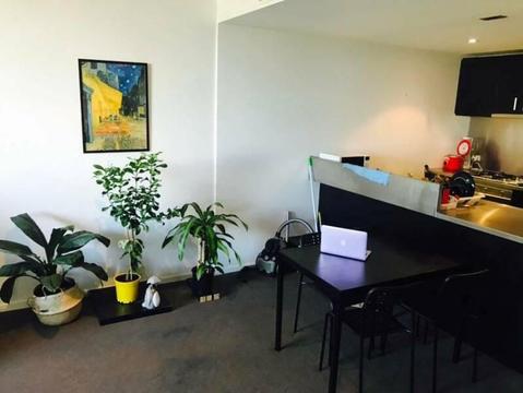 [Female only] Great Flat Share in CBD