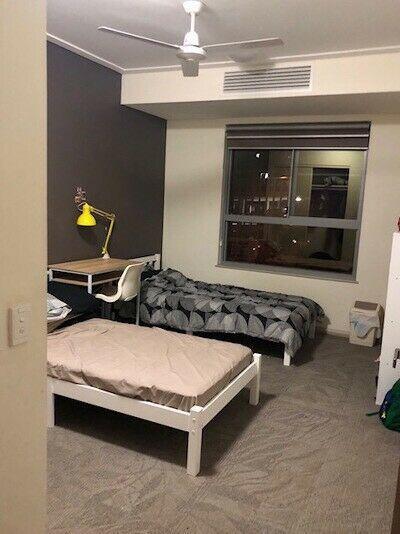 East Perth room share