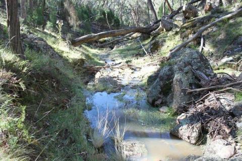 Cheap Land - 6.52 Acres 1.5 Hours from Canberra