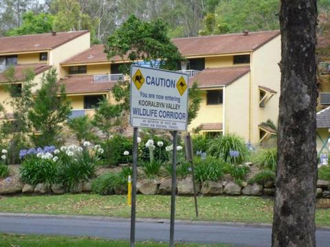 Development land for sale in Kooralbyn, Queensland