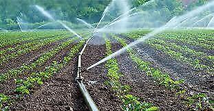 Irrigation - Farm/Land Owners Expression of Interests
