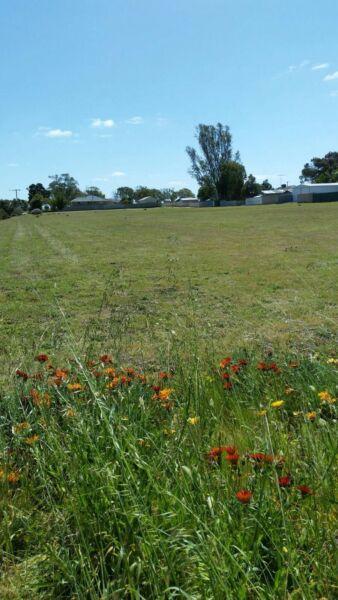 Vacant Land for sale in Coorow townsite