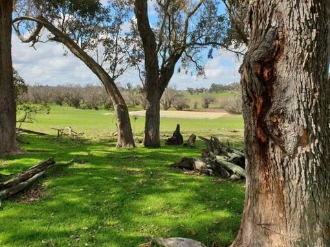 Piece of Paradise - 118 Banks Road, Boyup Brook - 13 acres