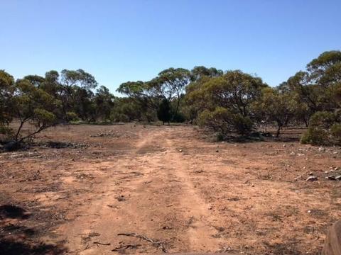LAND FOR LEASE 75 ACRES ROUGH CAMPING SHACK $ 150 PW