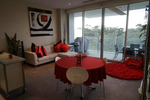 Apartment to Rent at Air Apartments in EASTWOOD SA
