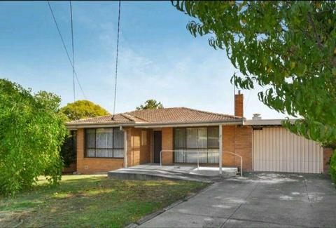 Ferntree Gully - 3 Beds House For Lease