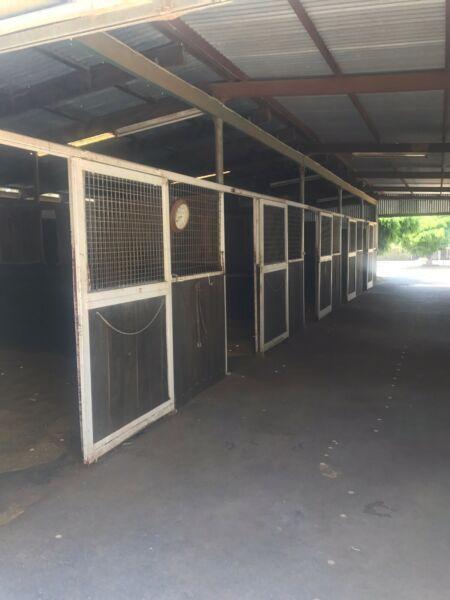 Stables for Lease