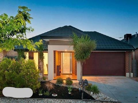 Point Cook Four Bedroom Single Story House for Rental