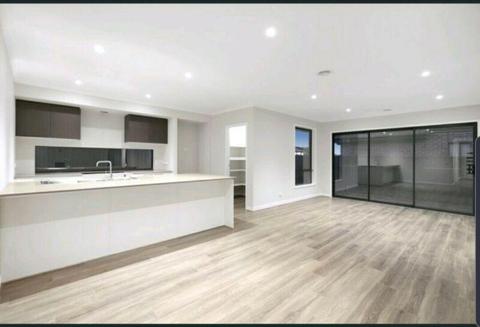 New 3 bedroom Craigieburn house for Rent