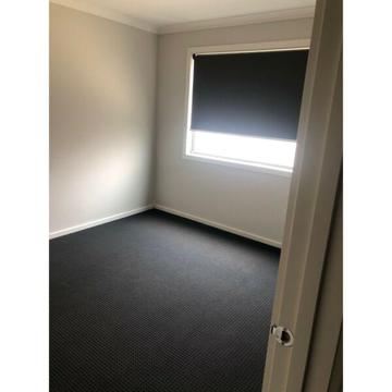 Spacious room available for rent near Cranbourne station