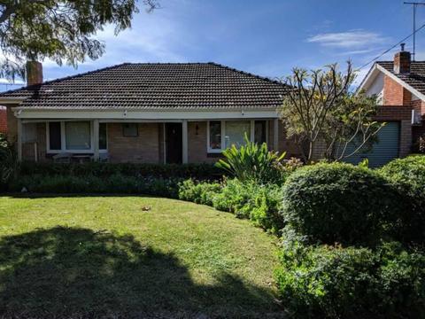House for Rent Dianella/Inglewood Area