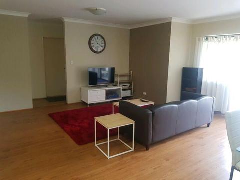 Shared room bankstown