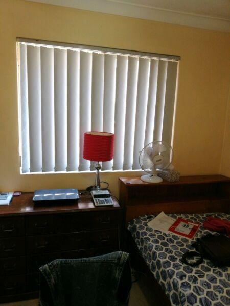 Room for rent in Westmead