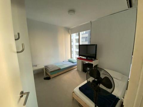 Share room for short term at Wolli creek