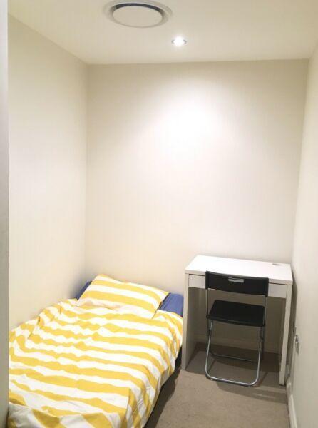 Study room for rent $180 (next to Mascot train station)