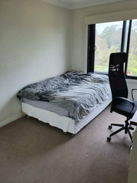 Lane Cove Room for Rent