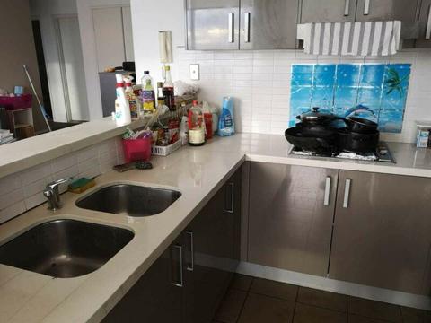 Master room and double room for rent Rosebery mertion city view