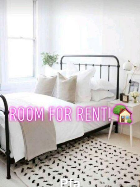 Room for rent, Condon