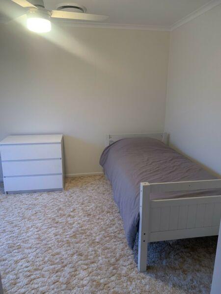 Single room for rent