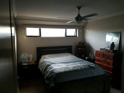 Two Room Mates Needed