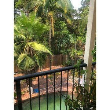 Single room available. Noosa. Share house for Xmas or new year