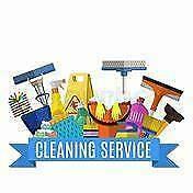 Established domestic cleaning business for sale