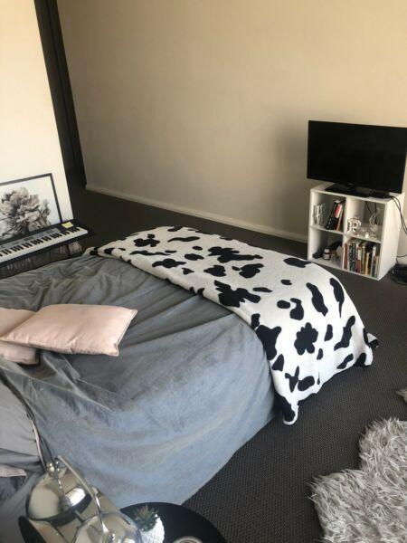 Fully Furnished Master Bedroom available in North Rocks