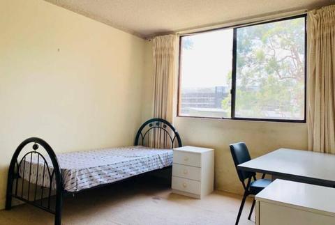 2 Rooms on Special, 5-min walk to Macquarie Uni/Train Station/Shops