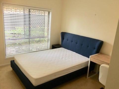 Large Nice & Tidy double room for rent in Maroochydore
