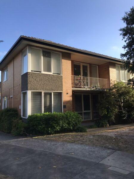 Room to rent in Malvern east near train and Chadstone