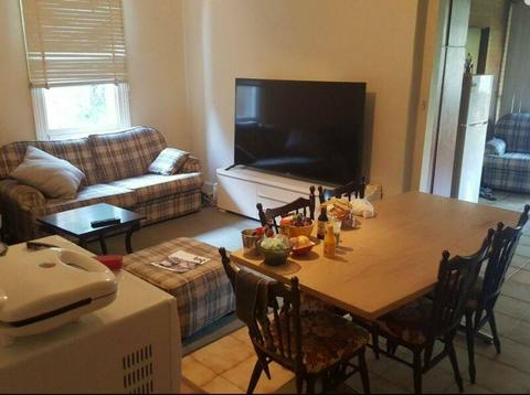 Hawthorn house with large room for rent / room share / housemate